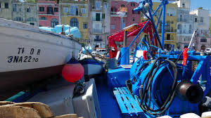 Pescaturista per un giorno: Vita e Segreti con i Pescatori di Procida